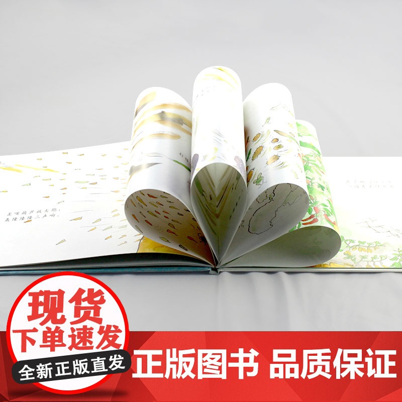 一园青菜成了精硬壳精装绘本信谊图画书奖少幼儿宝宝亲近母语分级阅读书目绘本3至8岁明天出版社正版童书高清大图