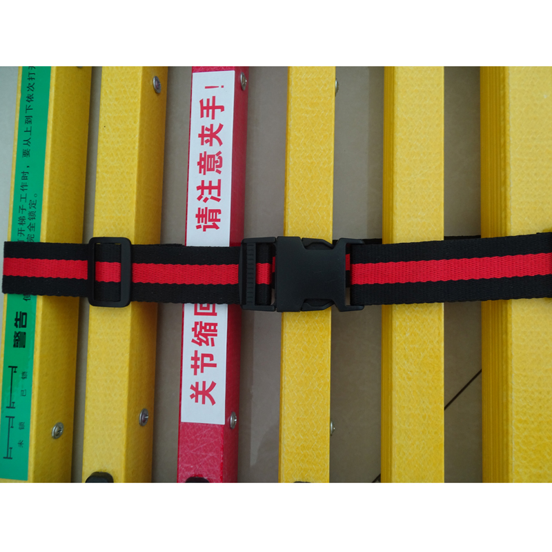 信志连成(XINZHILIANCHENG)3米鱼竿梯