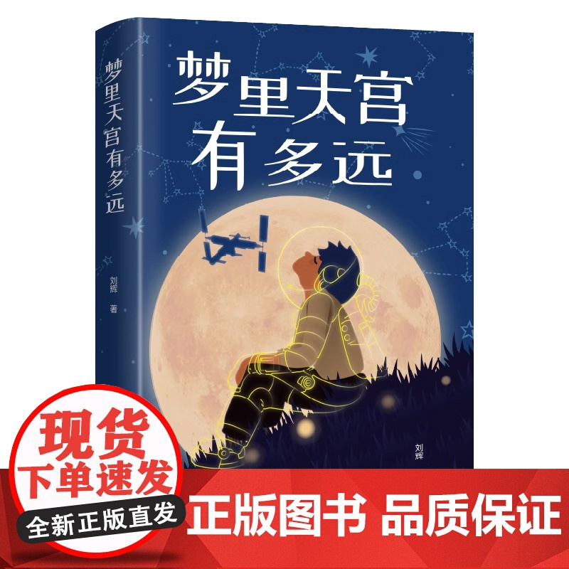 梦里天宫有多远 刘辉著儿童文学成长故事留守儿童乡村振兴孩子航空梦想的现实主义题材长篇儿童小说成长智慧励志书籍课外阅读书高清大图
