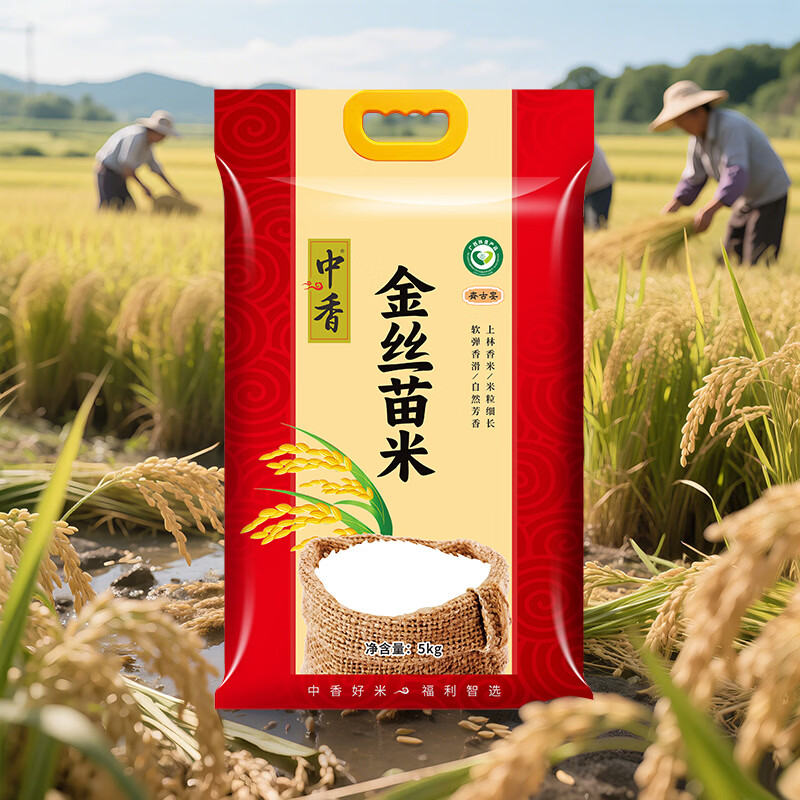 中香 上林金丝苗米 真空包装 5KG(单位:袋)