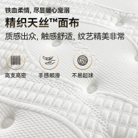 AIRLAND雅兰 蘭骑士加硬舒脊椰棕床垫进口乳胶独袋弹簧天丝面布七区护脊床垫