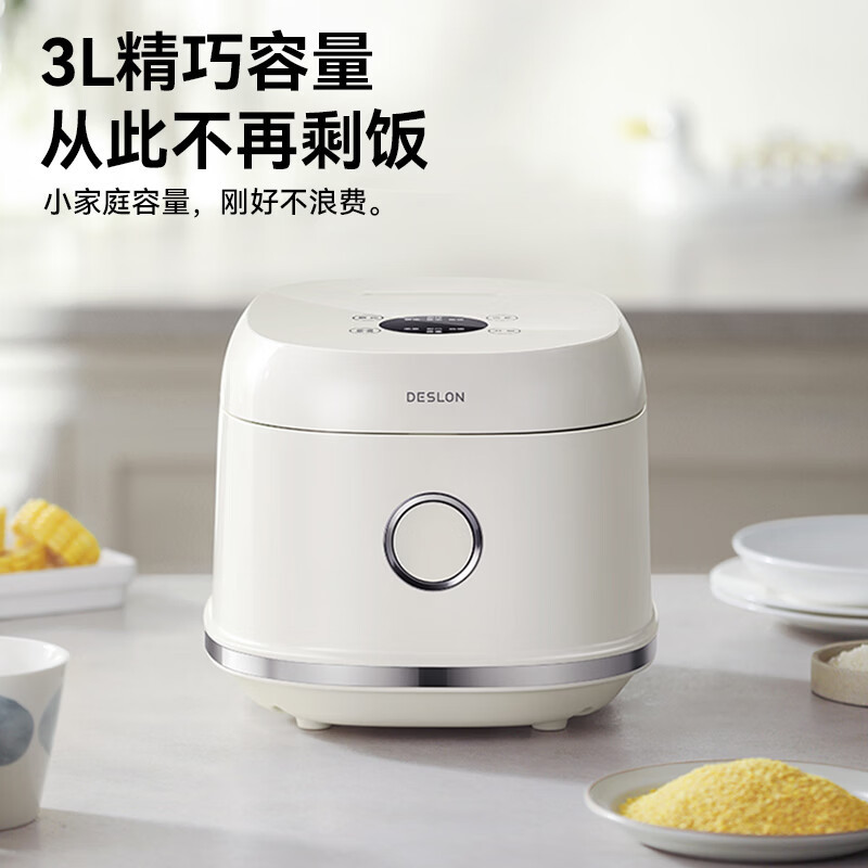 德世朗微电脑电饭煲106DDQ-FB505高清大图