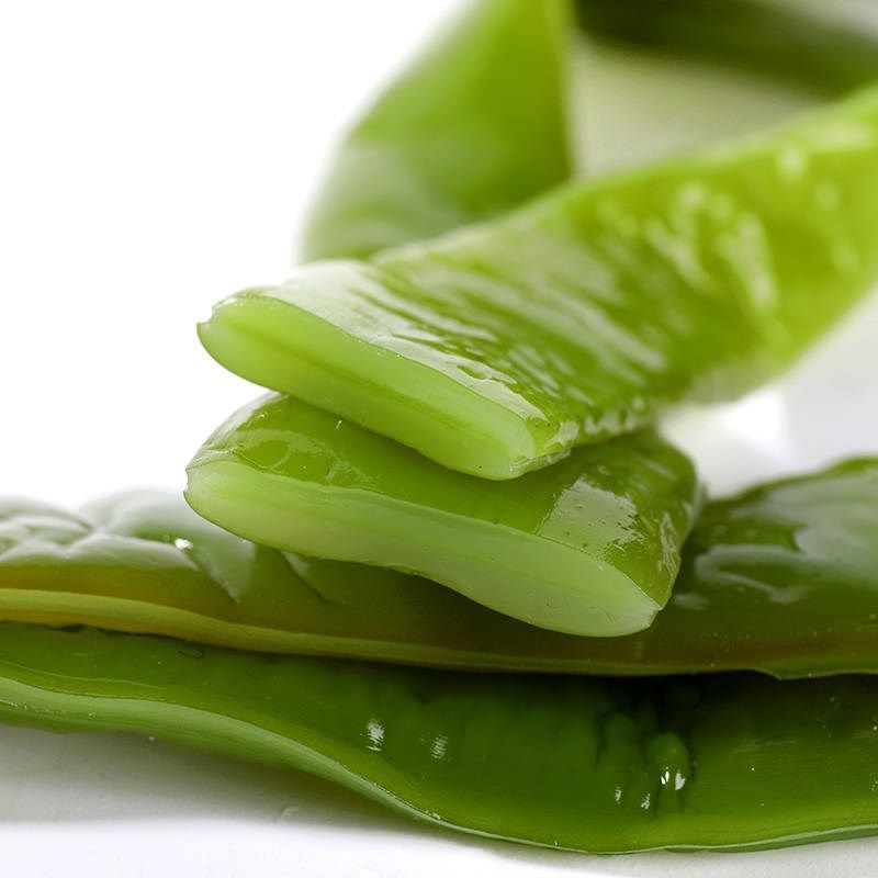 赛卡伊盐渍海白菜裙带菜海带裙带海芹菜新鲜嫩海藻