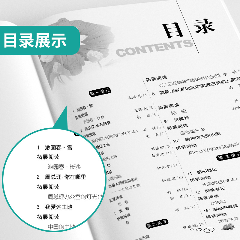 语文 九年级上 [正版]2024秋 初中语文实验班同步提优阅读与训练九年级上册人教版 语文9年级上册RJ版同步专项训练每