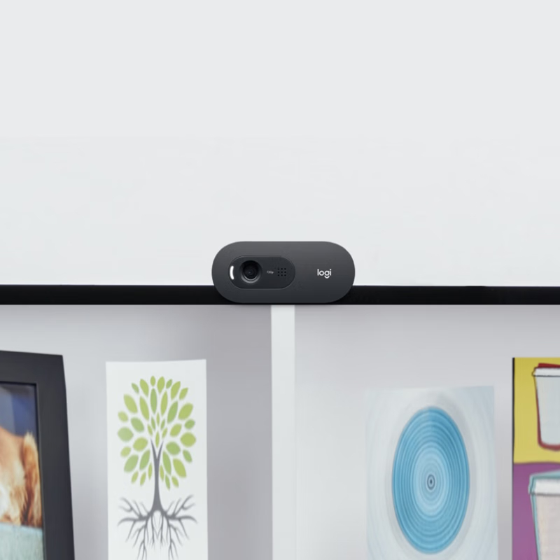 罗技(Logitech) 高清摄像头 C505e高清大图