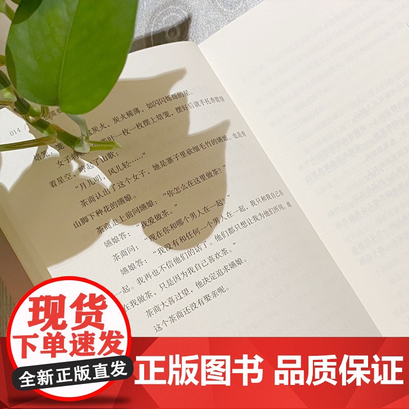 大人也需要童话 童亮 鲤伴 四川文艺出版社 正版书籍高清大图