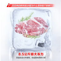容声(Ronshen) 609升对开门冰箱 两门双变频节能一级能效CAA离子除菌净味 BCD-609WD11HP