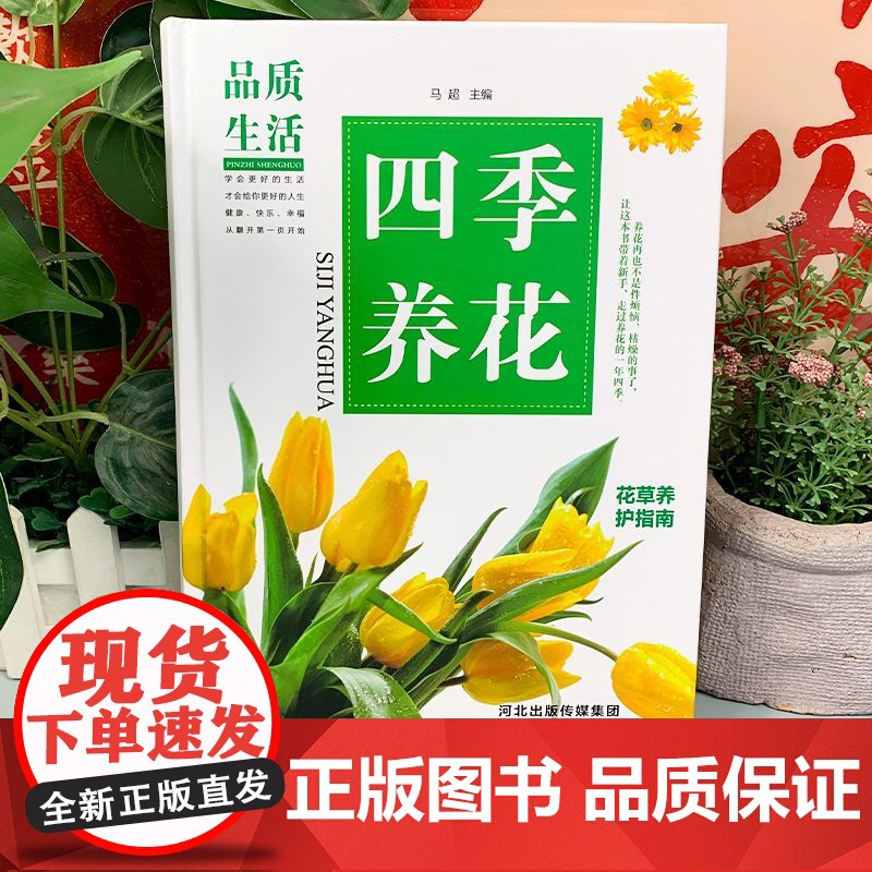 新版-四季养花(精装)新手四季养花书籍种花大全 家庭养花和阳台种菜花卉图书 室内绿植种养花的书 花草种植教程书 家庭养花高清大图