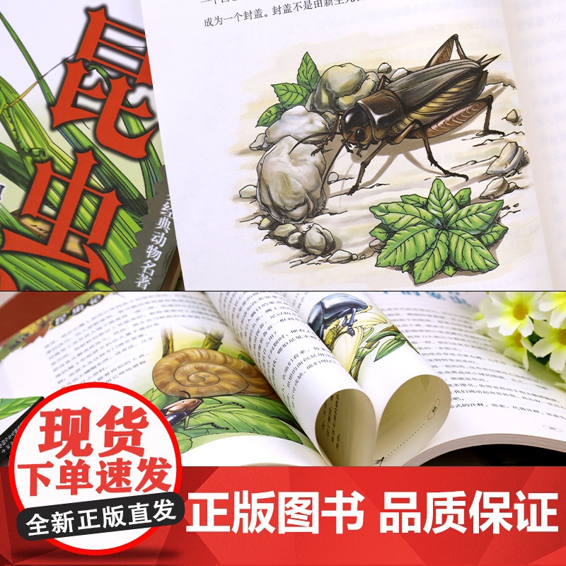 全套2册昆虫记法布尔三年级必读 中国少年儿童出版社 小学生四五六年级课外阅读书籍经典书目少儿版故事书 正版原著完整版高清大图