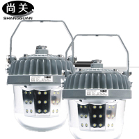 尚关(SHANGGUAN) 泛光平台灯SQ-Z24 AC220V LED 60W