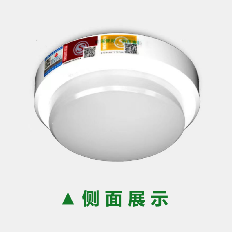 非芯赫吸顶灯FHGX240-30高清大图