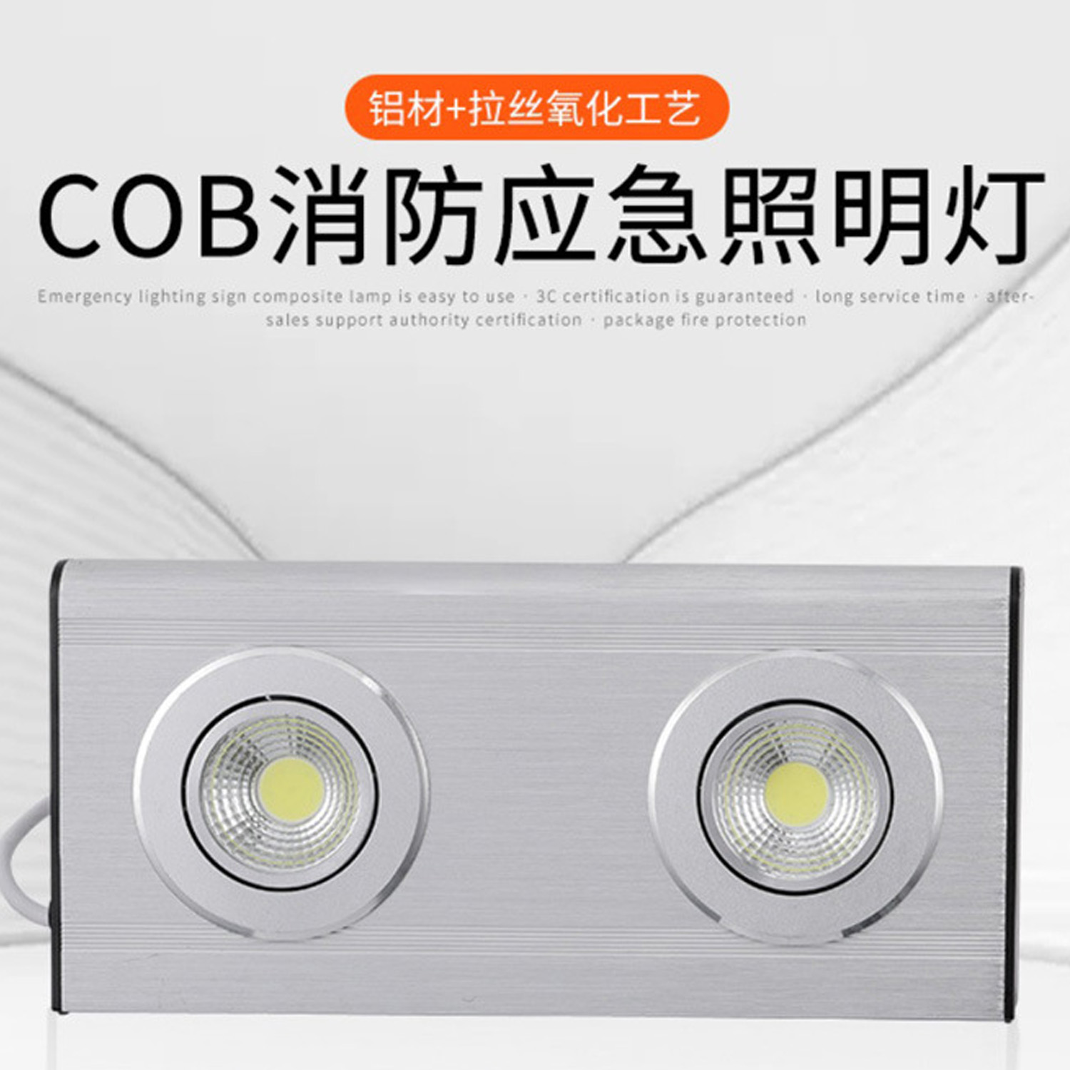 非赫电 FHBLD130-1 IP65 LED双头应急灯
