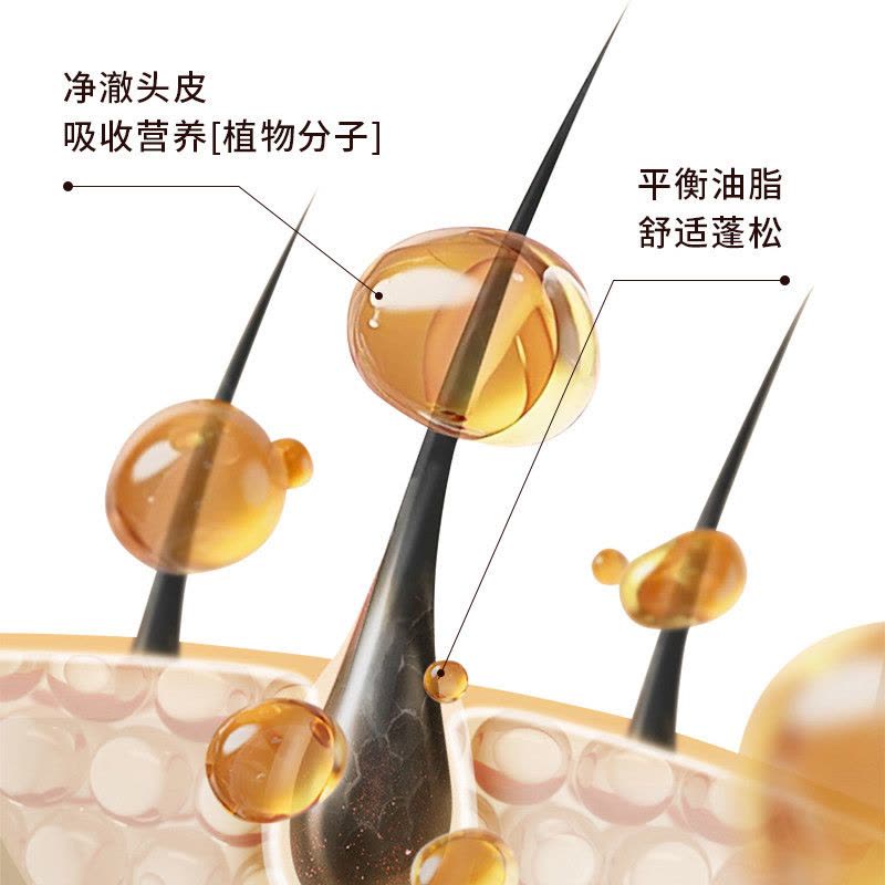 HWKW四效合一狗狗沐浴露抑菌除螨宠物洗澡柔顺香波犬通用清洁去污图片
