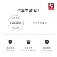 德国双立人Dragon龙铸铁锅26cm饭釜锅白珐琅焖烧炖煮家用餐厅厨房