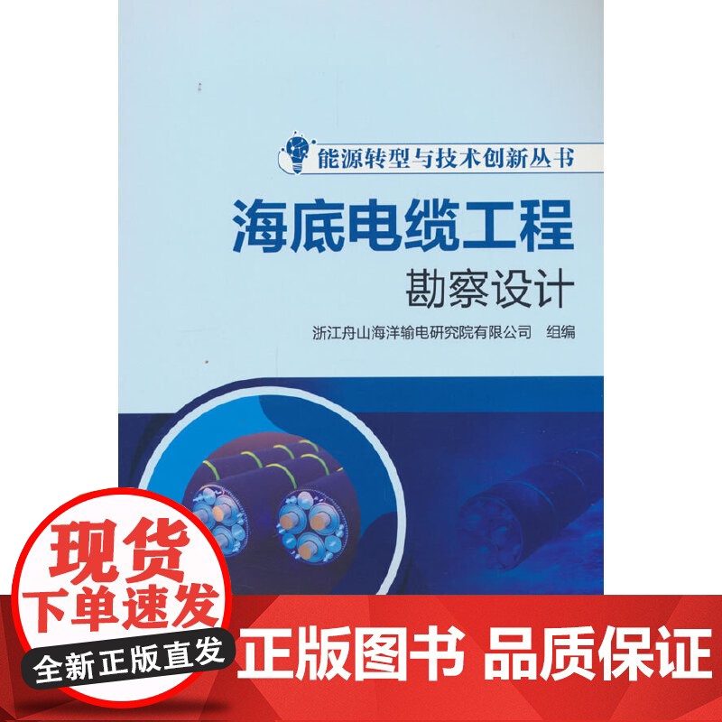 能源转型与技术创新丛书 海底电缆工程勘察设计高清大图