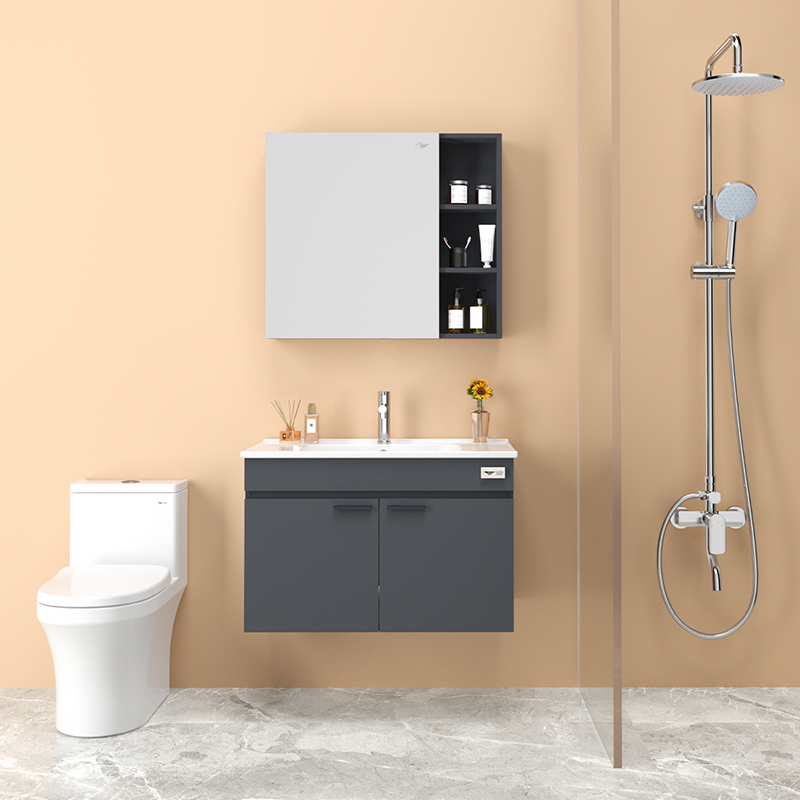 东鹏卫浴(dong peng)浴室柜组合卫浴柜挂墙式现代简约卫生间洗手盆柜