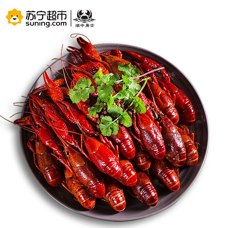 湖中勇士 十三香小龙虾 4-6钱/只 860g 净虾500g 23-18只 国产盒装冷冻虾制品