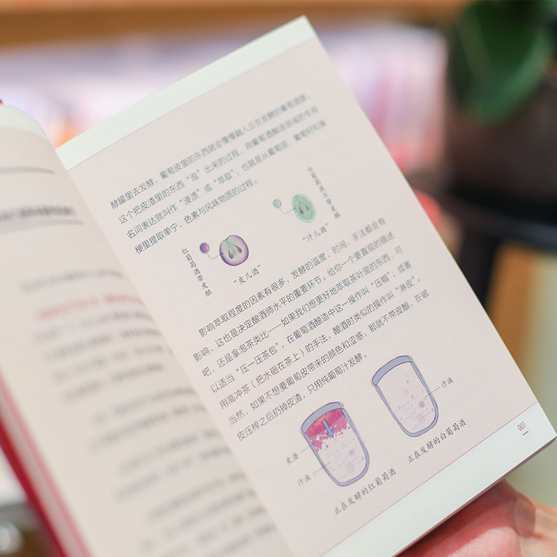 [正版]推开红酒的门 醉鹅娘9堂课讲透基本点 王胜寒著 徐小平吕思清沈宏非李诞 葡萄酒品酒 出版社图书 书籍高清大图