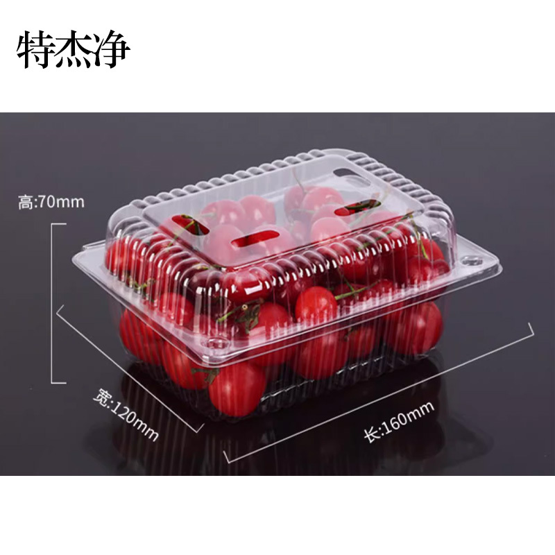 特杰净TJ-BZ1 保鲜盒 包装盒 100个箱(单位:箱)透明色