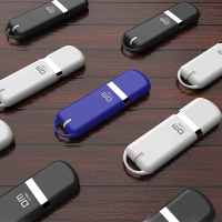DM 512MB USB2.0 U盘 PD201标签优盘 招标投标小容量u盘 10个/盒