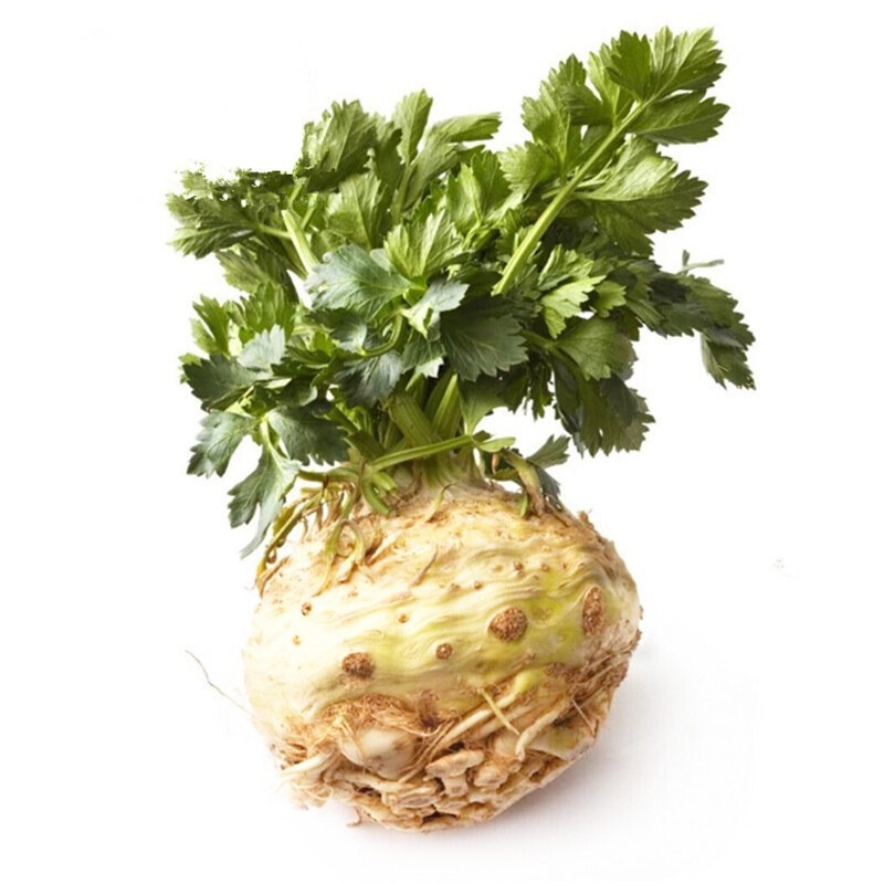 农聚源根茎类 农聚源 新鲜蔬菜芹菜根 500g 洋芹 根芹 新鲜蔬菜as