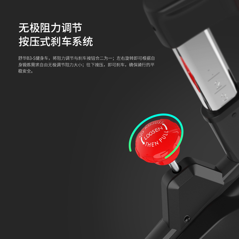 舒华家用动感单车室内磁控减肥健身车超静音运动器材自行车3100S