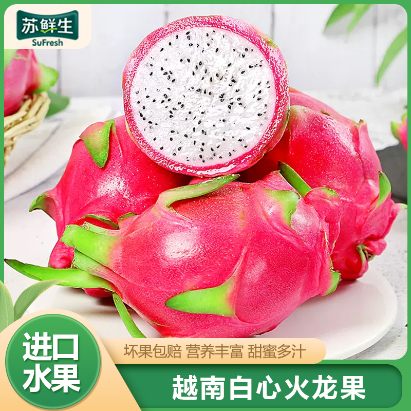[苏鲜生]越南进口 白心火龙果 净重5斤 单果300-500g 新鲜当季水果 1
