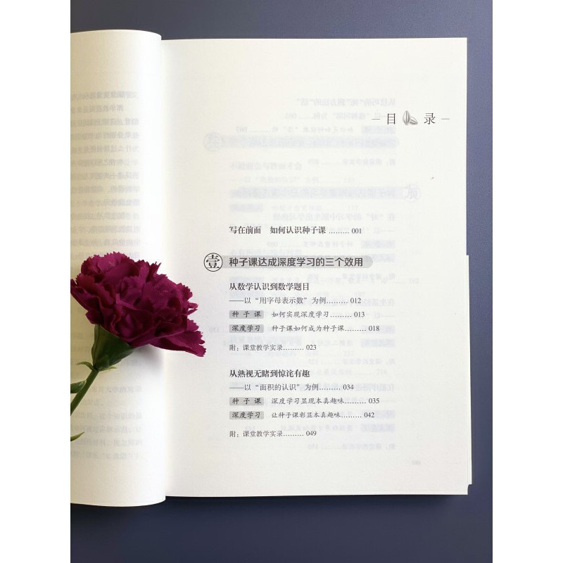 [正版]USB drive含10节课例视频 种子课3.0 对话深度学习 俞正强 郭华 著 顾明远先生作序 教育科学出版