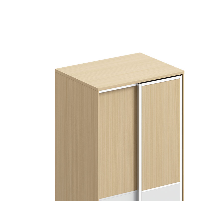 臻远ZY-GYJJ32 公寓套房家具 宿舍更衣柜推拉门双门衣柜高清大图