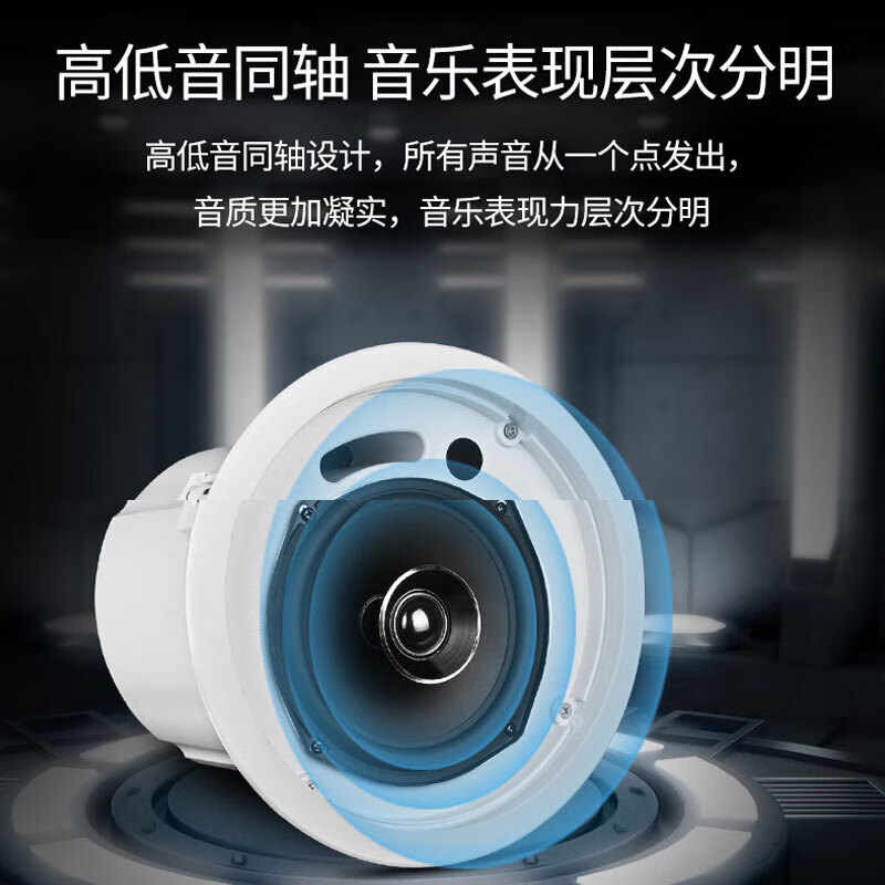 得胜(TAKSTAR)EBS-640 定阻吸顶音箱背景音乐系统公共广播音箱 黑色高清大图