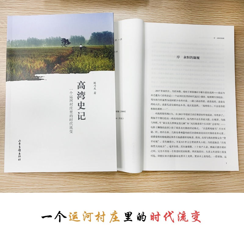 醉染图书高湾史记:一个运河村庄里的时代流变9787547424407高清大图