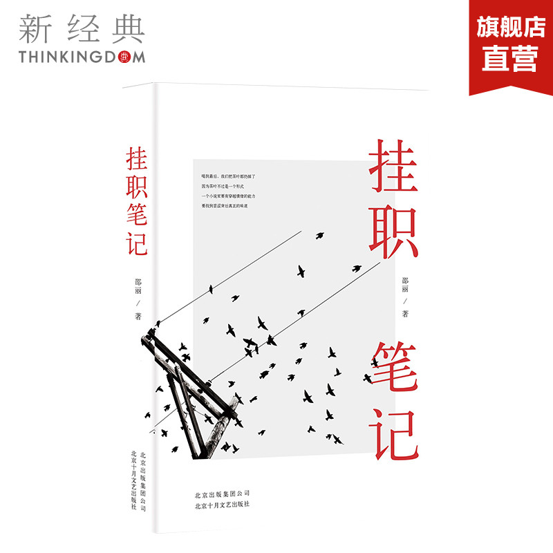 [醉染正版]JD 挂职笔记 邵丽 著 职场小说文学 现当代小说 正版图书高清大图