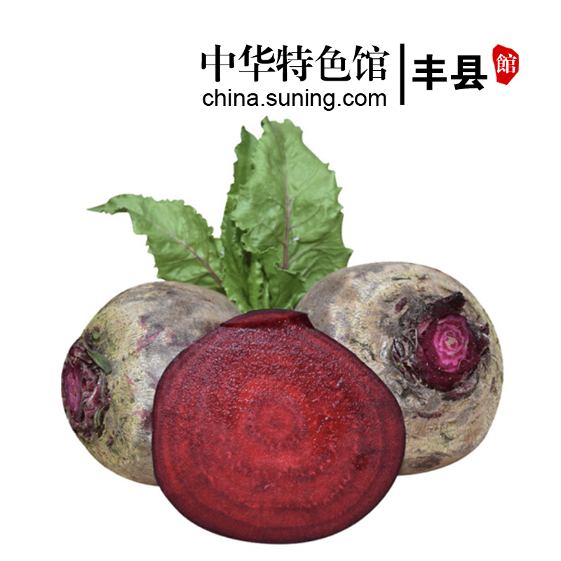 中华特色 丰县馆新鲜甜菜根5斤现拔现发甜菜头紫菜红甜菜鲜蔬菜农家蔬菜红根菜头报价 参数 图片 视频 怎么样 问答 苏宁易购