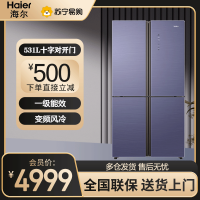 海尔(Haier)十字对开门冰箱531L容量一级双变频风冷无霜 干湿分储三档变温空间 BCD-531WGHTDD9N1