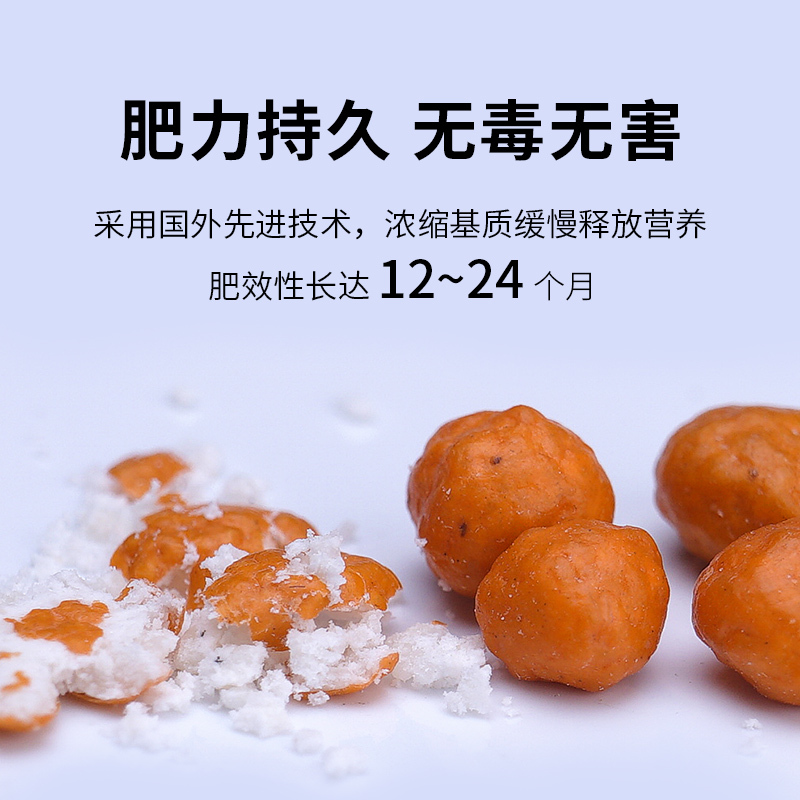 水肥料粒粒肥水缸鱼缸装饰造景水泥基肥多效缓释肥
