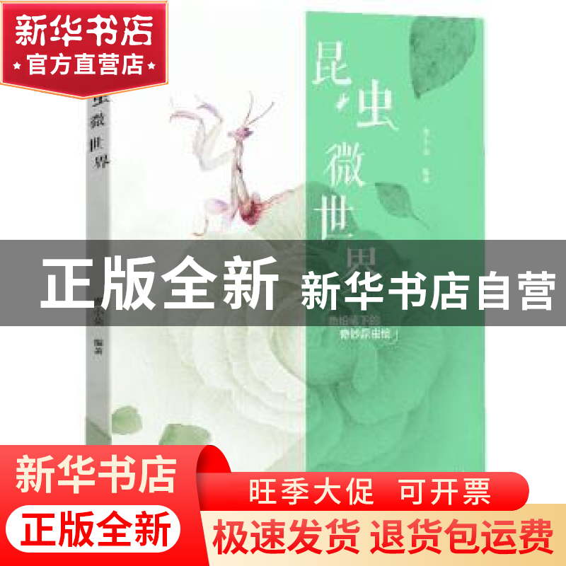 正版 昆虫微世界:色铅笔下的奇妙昆虫绘 麦小朵编著 中国青年出版