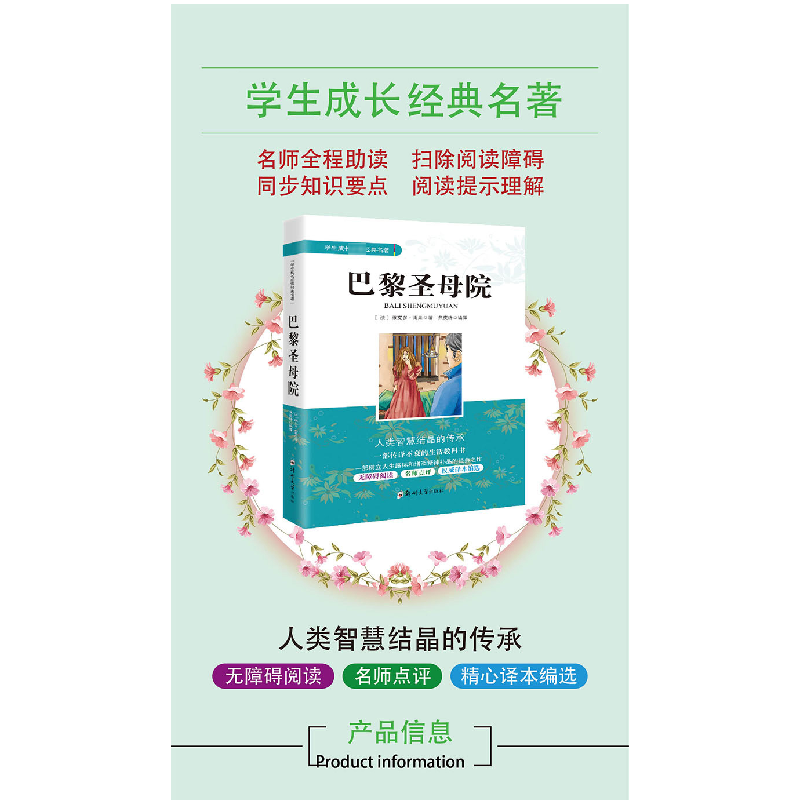 正版新书]巴黎圣母院维克多·雨果9787564540784高清大图