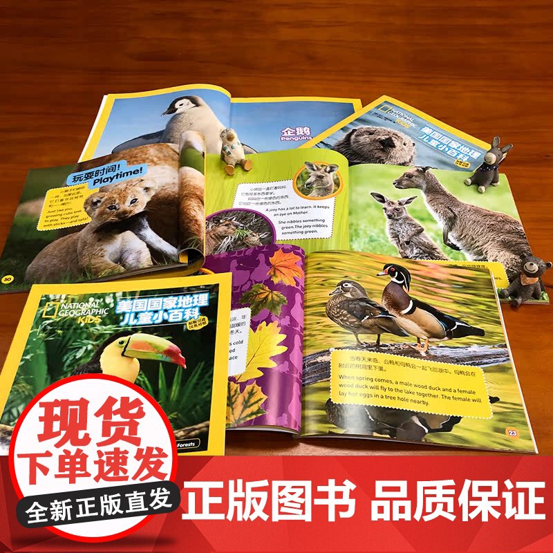 美国国家地理儿童小百科全套6册双语版3-6岁儿童科学漫画书籍小学生版一二年级课外书必读天气雨林动物科普百科全书儿童6-1高清大图