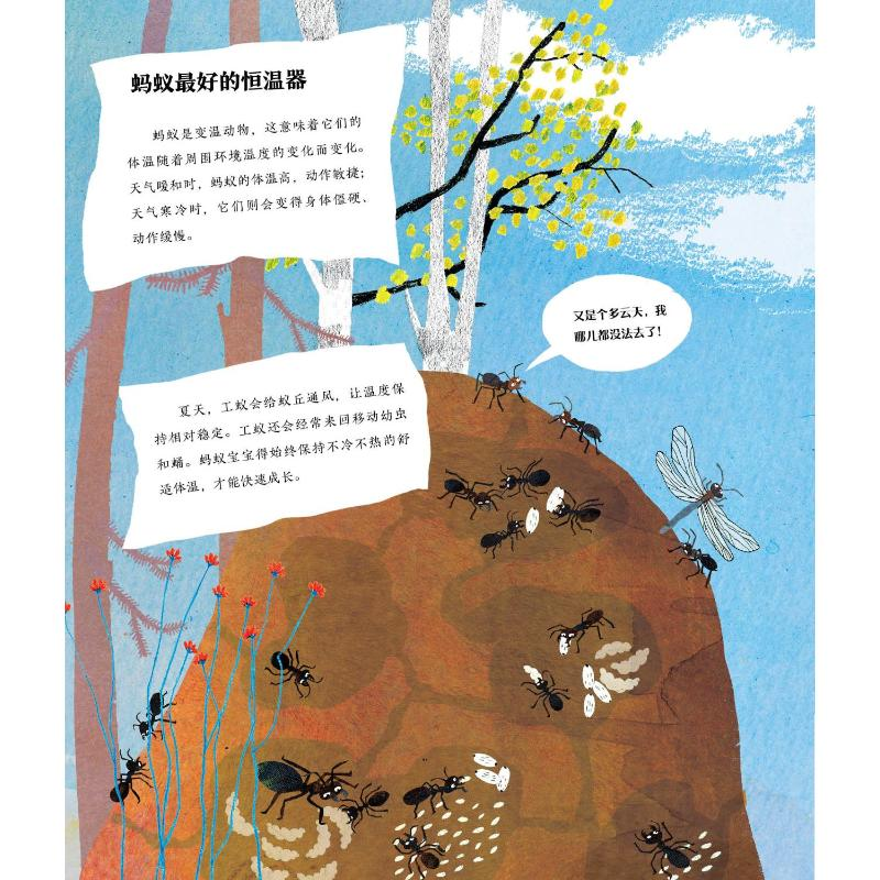 上海科学普及出版社科普/百科报价_参数_图片_视频