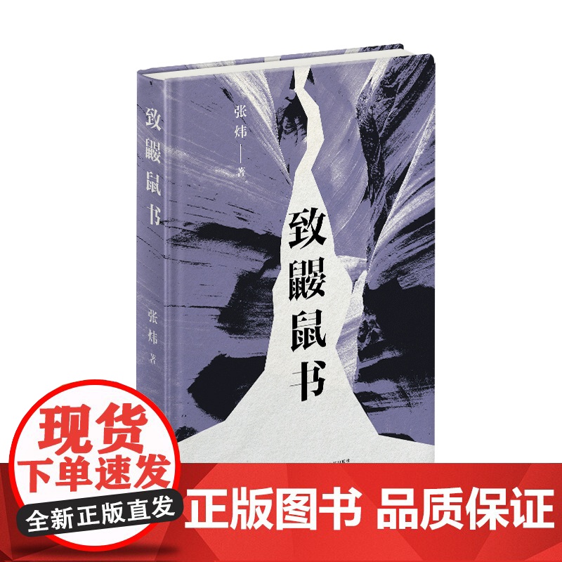 致鼹鼠书(茅盾文学奖得主张炜全新诗集) 张炜 长江文艺出版社 正版书籍