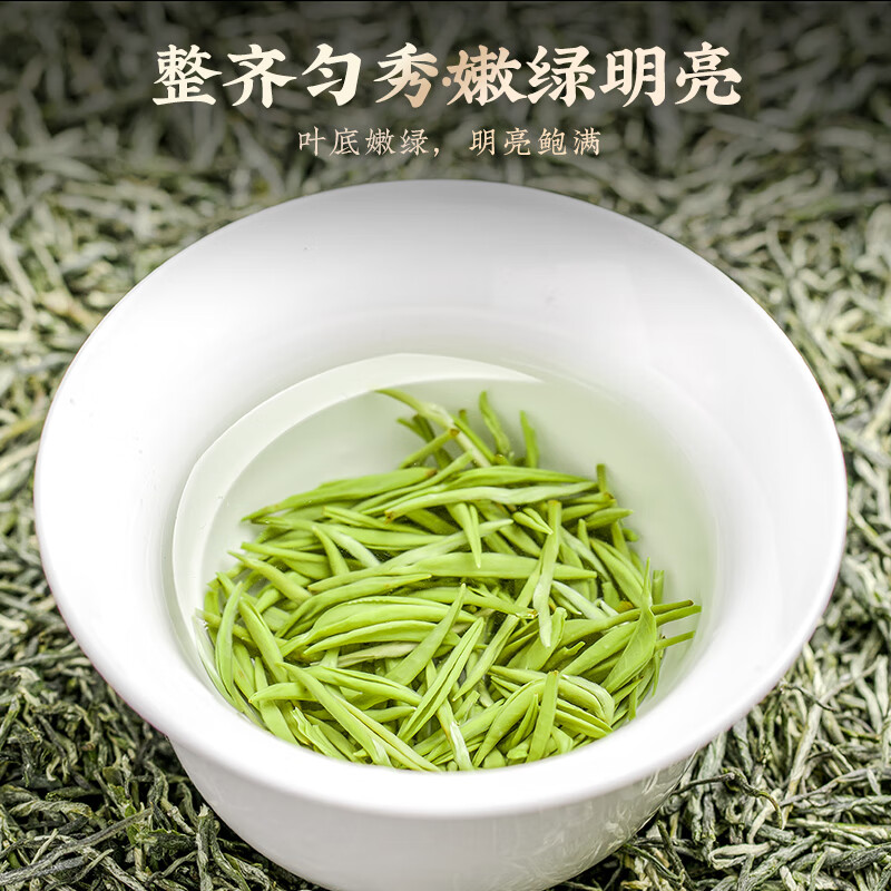 成西湖CXH-MJ成西湖绿茶信阳毛尖250g新茶叶春茶明前头采嫩芽礼盒装高端新老包装 随机发货高清大图