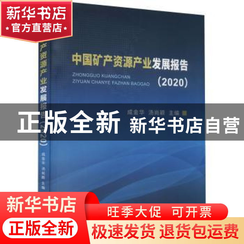 正版 中国矿产资源产业发展报告(2020) 成金华,汤尚颖主编 中高清大图