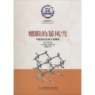 醉染图书耀眼的暴风雪9787543961036