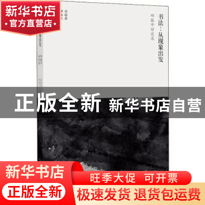 正版 书法:从现象出发:邱振中访谈录 周勋君,谭振飞编著 广西师图片