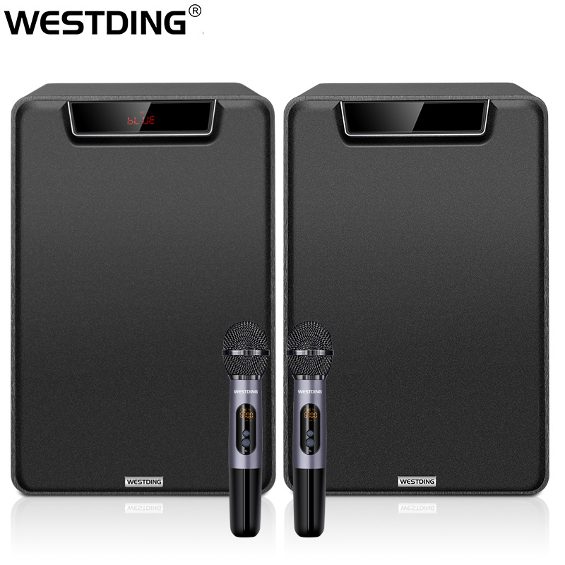 威斯汀 家庭影院ktv卡拉ok音响套装10英寸有源音箱音响三分频声卡话筒