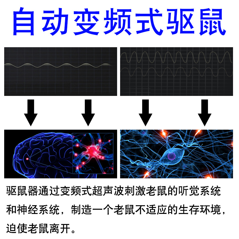 皇猫超声波电子驱鼠器防鼠赶老鼠灭鼠器电子猫家庭办公室用 LY-007