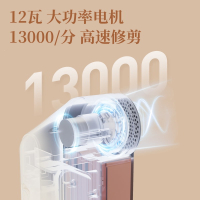 阿斯卡利(ASCARI)剃毛器衣服毛球修剪器直插电式大功率刮打毛机起除去毛球家用