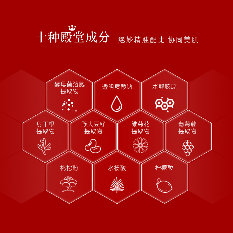 瑞秢ExquiRoutine进阶臻红系列净颜整肌平衡水爽肤补水化妆水200ml*2