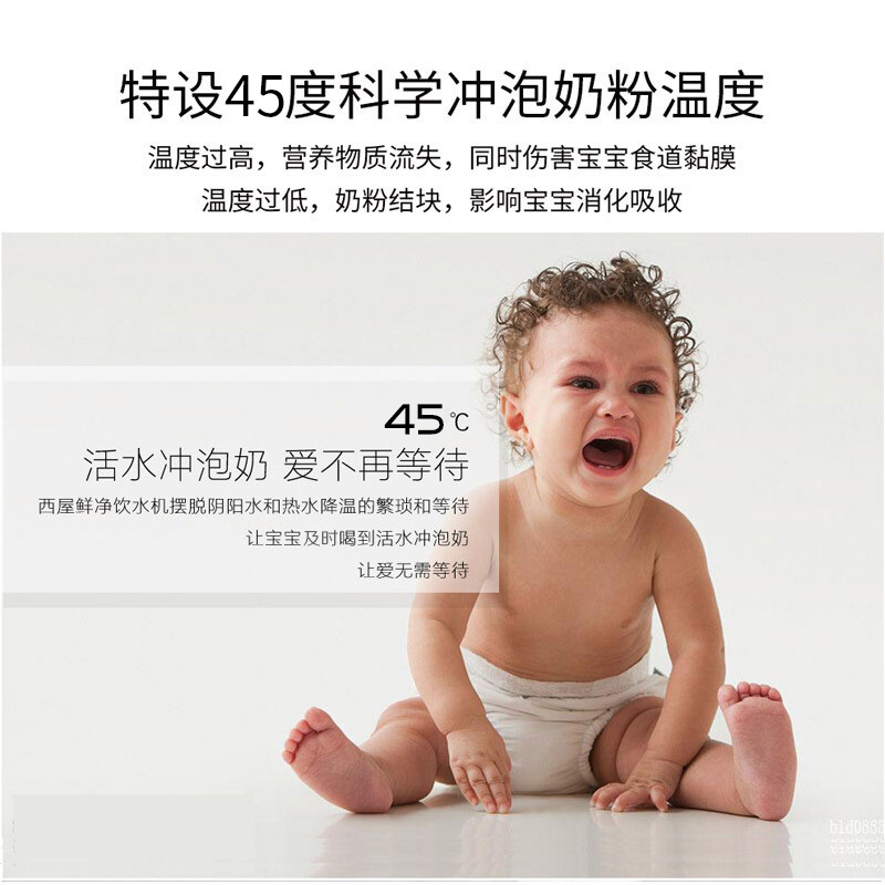 西屋（Westinghouse） 净饮一体饮水机 智能免安装净水器 台式直饮纯水机 WFHRO-F2皓月银（6档温控）