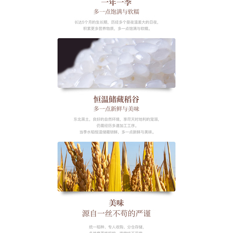 十月稻田 飘云款东北大米5KG高清大图